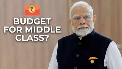 Budget 2025: Did PM Narendra Modi hint at income tax relief for the middle class?