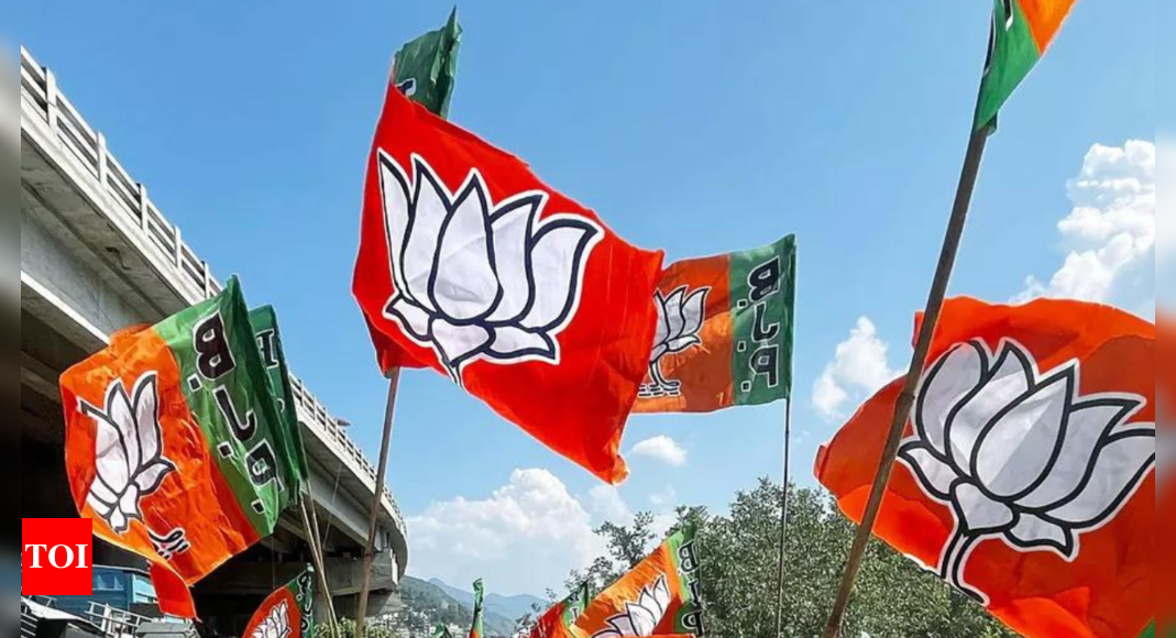 BJP reports Rs 1,737.68 crore expenditure  to EC for 2024 Lok Sabha elections