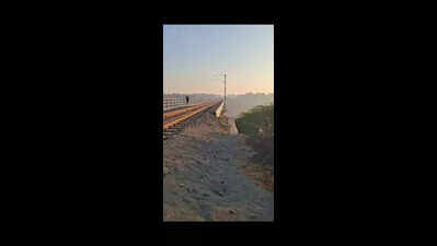 Another leopard struck to death by train near Dabhoi