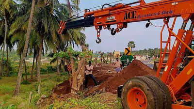 Work on transplanting trees begins in Pollachi