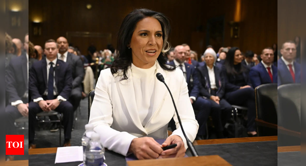 ‘Trying to foment religious bigotry against Hindus’: Tulsi Gabbard defends religious freedom during confirmation hearing – The Times of India