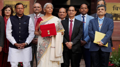 Budget 2025: Finance Minister Nirmala Sitharaman announces to establish Centre of excellence for AI