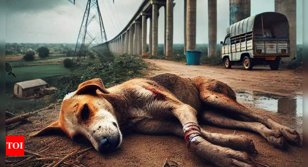 Animal cruelty in Telangana: 10 out of 11 dogs thrown from 40-foot bridge in Sangareddy die from injuries