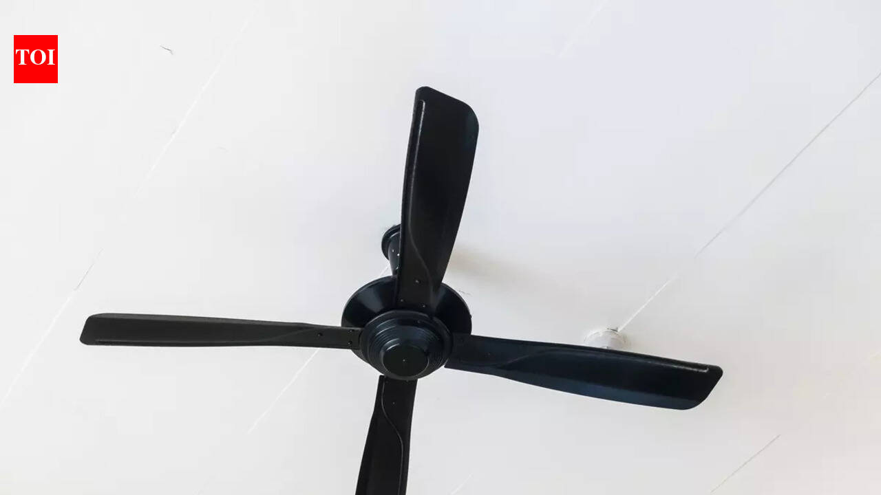 Ceiling Fan With Remote: Best Ceiling Fans With Remote For Smart ...
