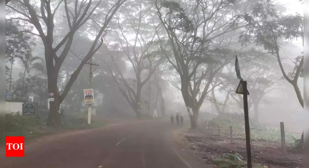 Andhra Pradesh weather update: IMD predicts above-normal temperatures for February