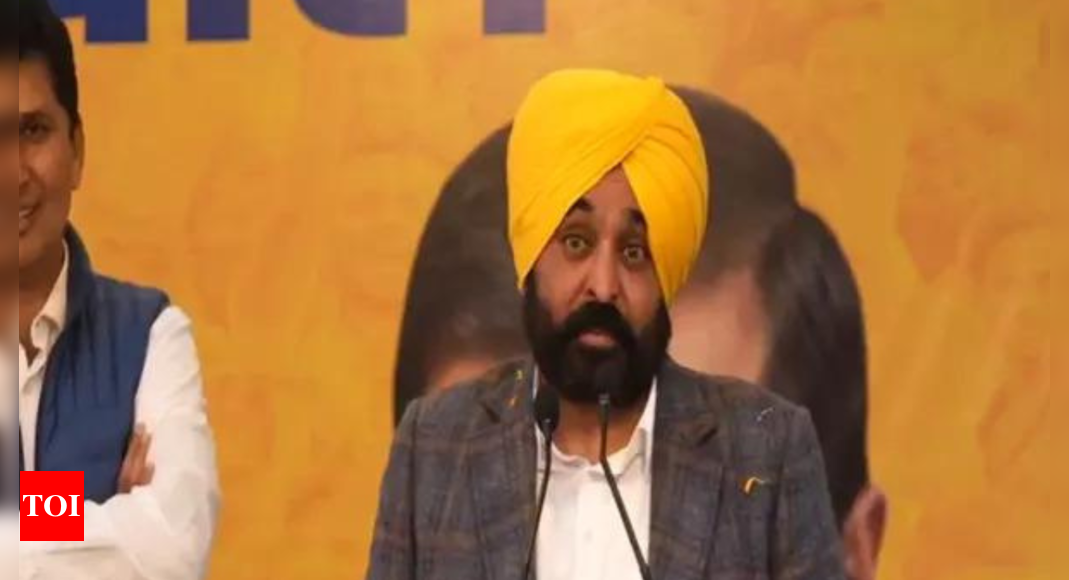 Punjab ignored once again in Union Budget, says CM Mann