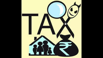 Young tech professionals sayrevised tax slabs a breather
