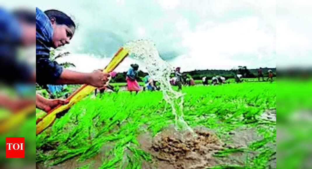 Govt policies and regional reality don’t match: Goan farmers