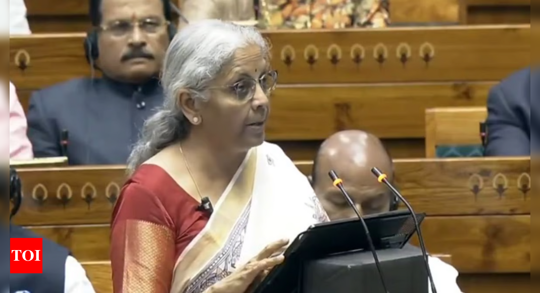 Union Budget 2025: Nirmala flips BIT coin to catch global investors