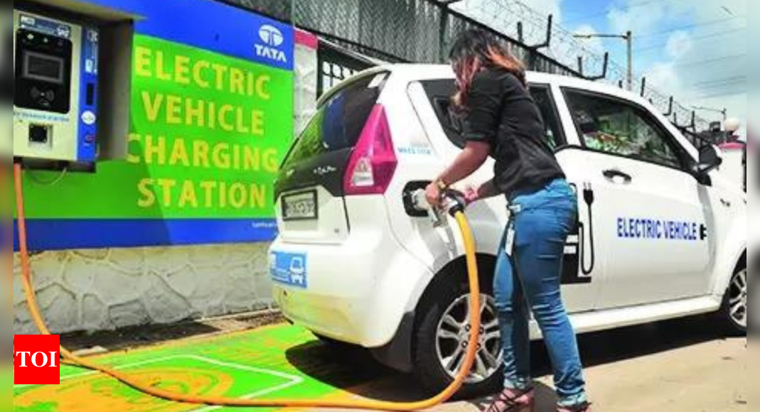 Union Budget 2025: EV industry roars on Li-ion's share of exemptions