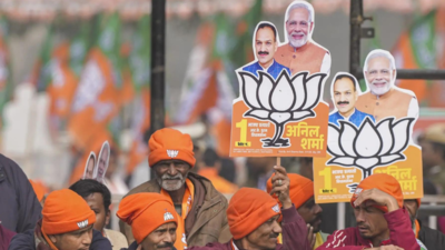 'Dil valo ki Delhi ko ab BJP sarkar chahiye': Party launches new campaign song 3 days ahead of polls