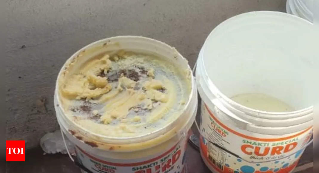 Mosquitoes in ghee and dead lizard found in dairy items in this city