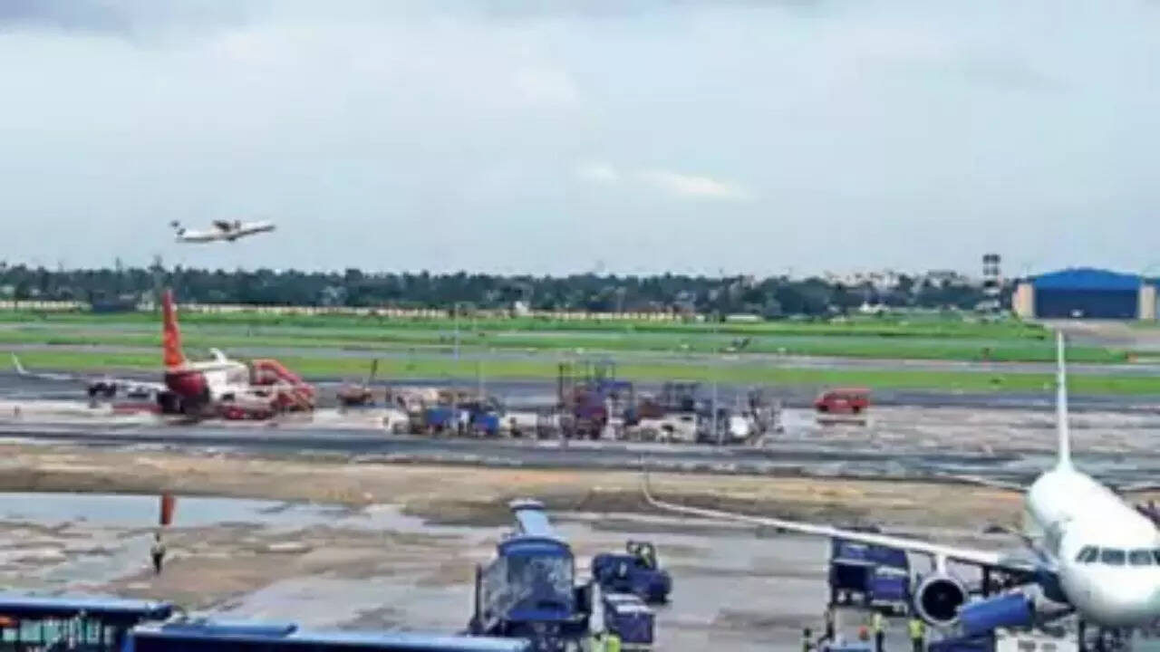 Kolkata Airport Implements Sonic Warfare to Prevent Bird Strikes and  Enhance Aircraft Safety | Kolkata News - The Times of India