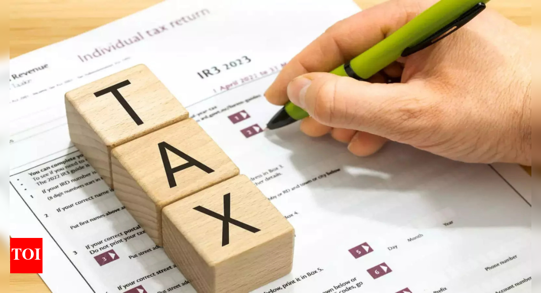 Budget 2025: 10 things individual taxpayers should know - The Times of India
