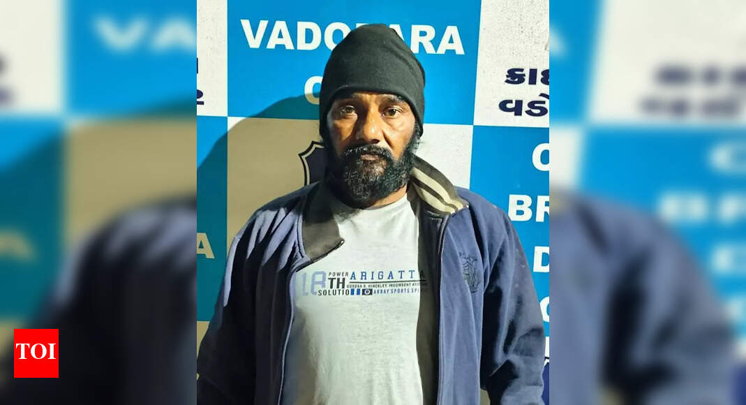 Man accused in over 54 offences arrested | Vadodara News - The Times of ...