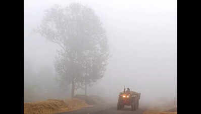 Dense fog to persist in Punjab and Haryana, light rainfall ...