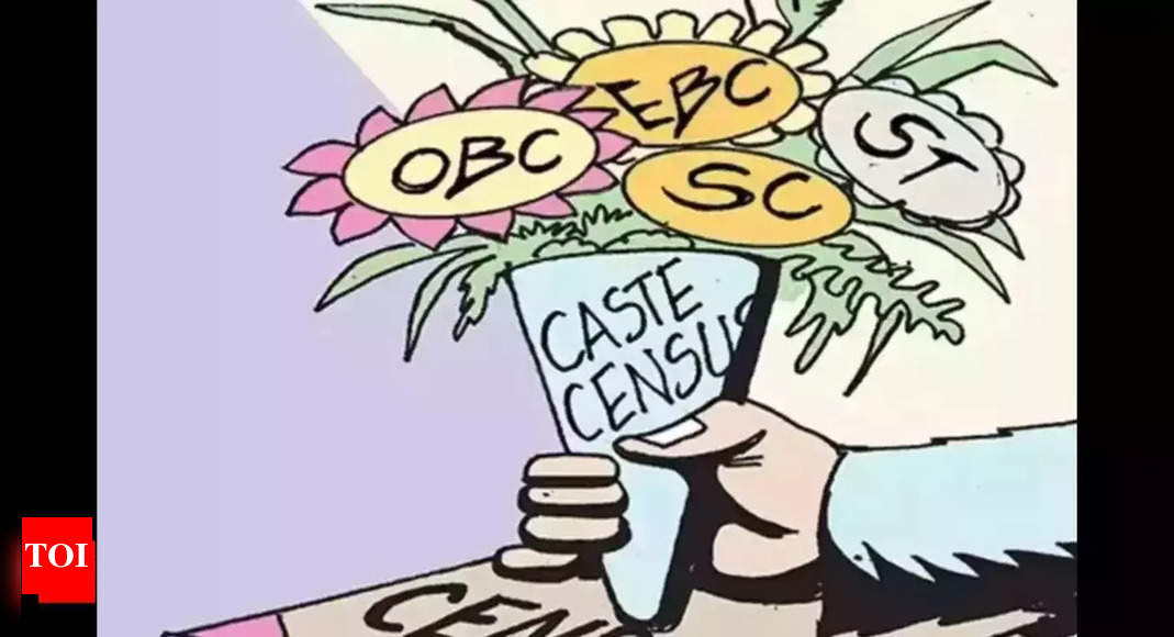 Caste survey: Backward classes Telangana's largest group at 46.25%