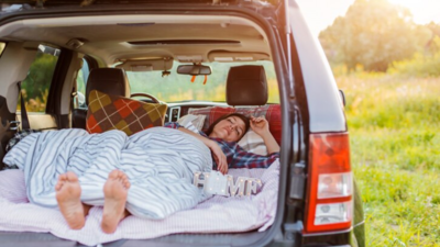 Drive into Dreamland With The Best Car Beds