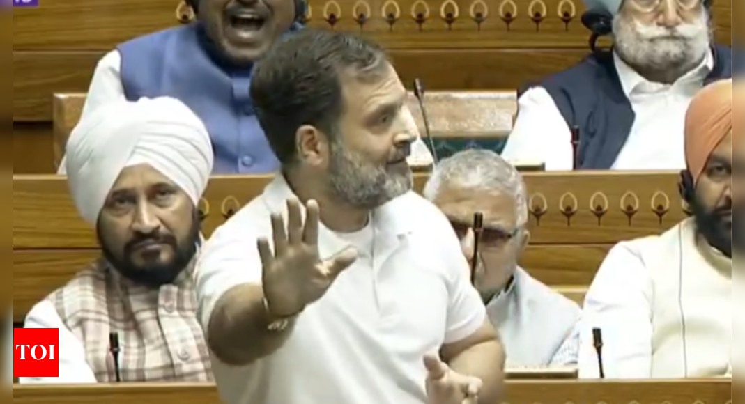 'Halwa, Nehru, Trump invitation': Centre bristles over Rahul Gandhi's digs in Lok Sabha