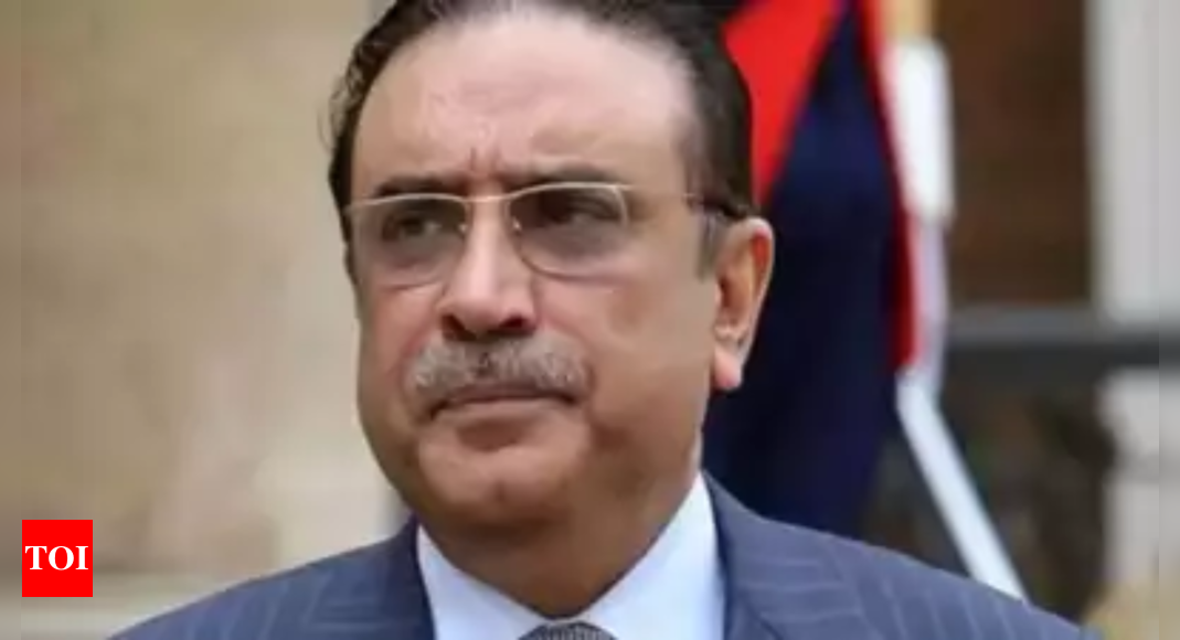 Pakistan President Zardari to visit China on Tuesday on five-day state visit