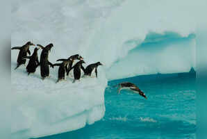 Planning an Antarctica trip? Here&rsquo;s everything you need to know