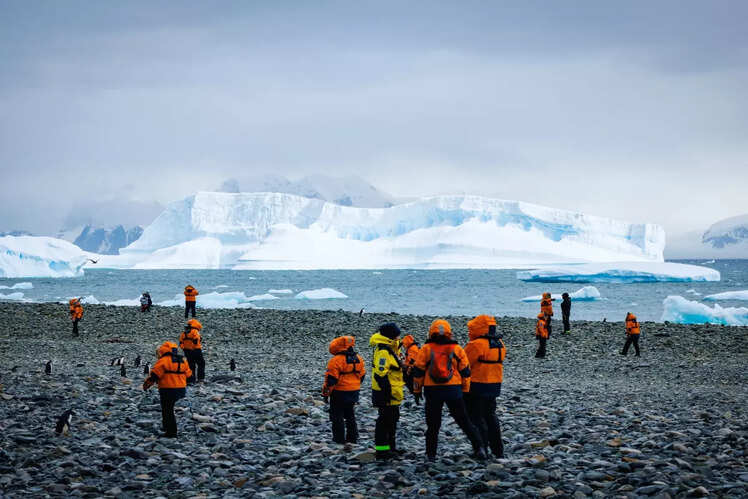 Best time to visit Antarctica