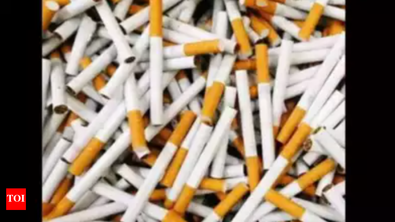 4.6 lakh cigarettes seized at Chennai port | Chennai News
