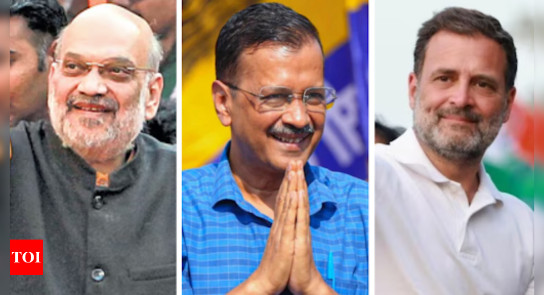 दिल्ली निवडणुका: प्रचारावरील पडदे, आता मतदारांवर. भारत बातम्या