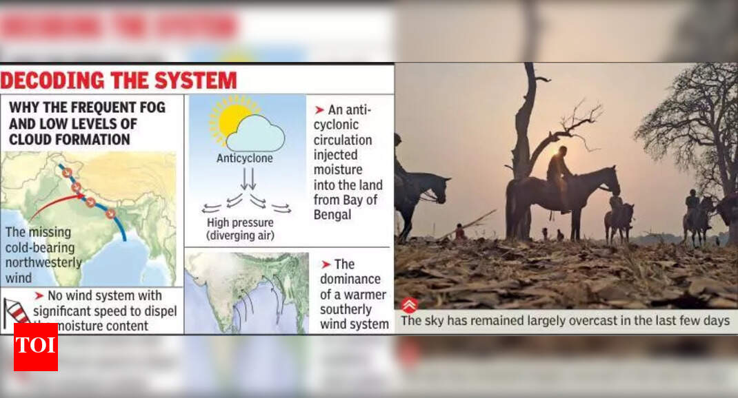 Sun to come out, mercury to rise before dipping again on weekend ...