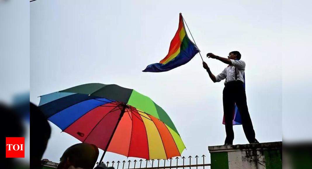 Madras HC calls for revamp of medical edu curriculum to tackle 'LGBTQIA+ phobia'