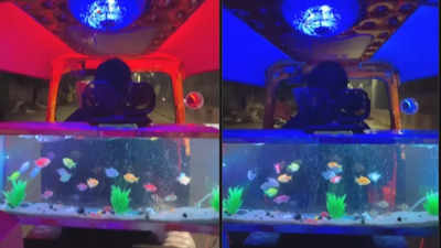 Auto or aquarium? Pune auto transformed into a mobile aquarium with lights and speakers; watch viral video