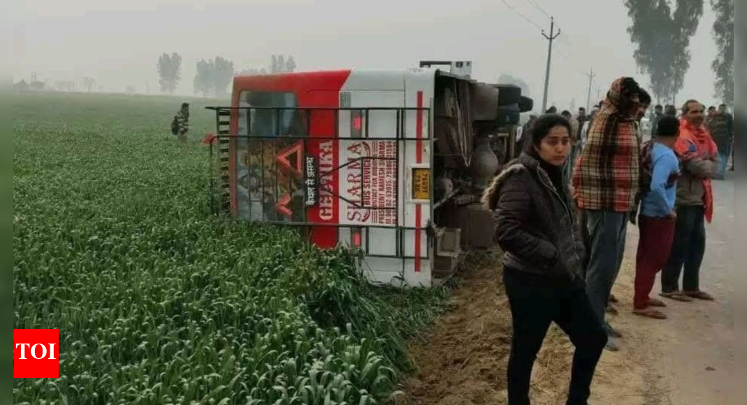 Overloaded bus overturns while avoiding bullock cart in Kaithal