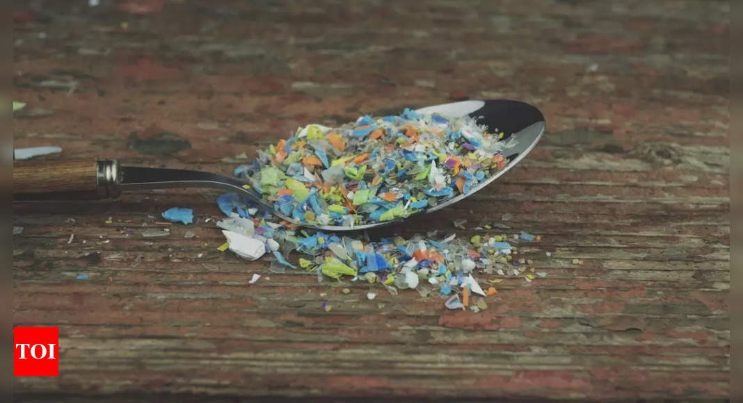 Shocking study finds human brains have a spoonful of microplastics