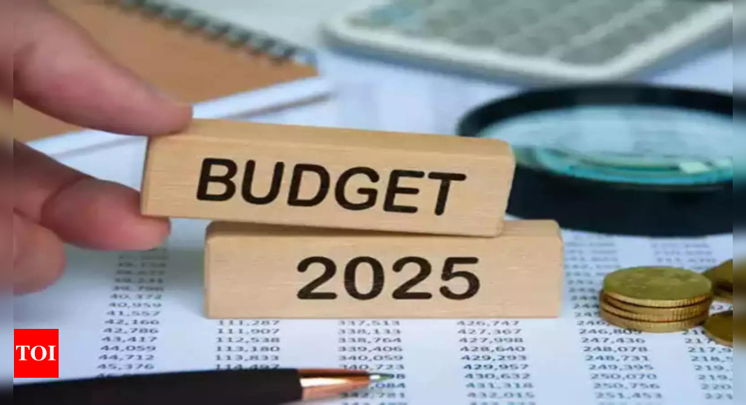 Budget signals slowing fiscal consolidation, says Moody's