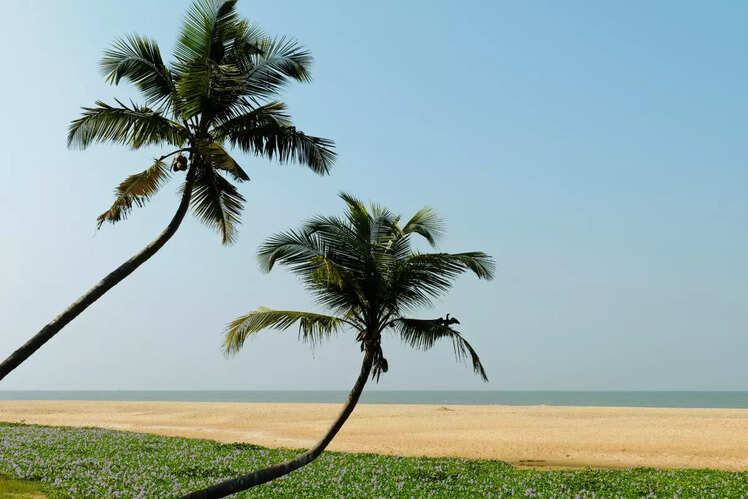 Varkala&rsquo;s spiritual atmosphere