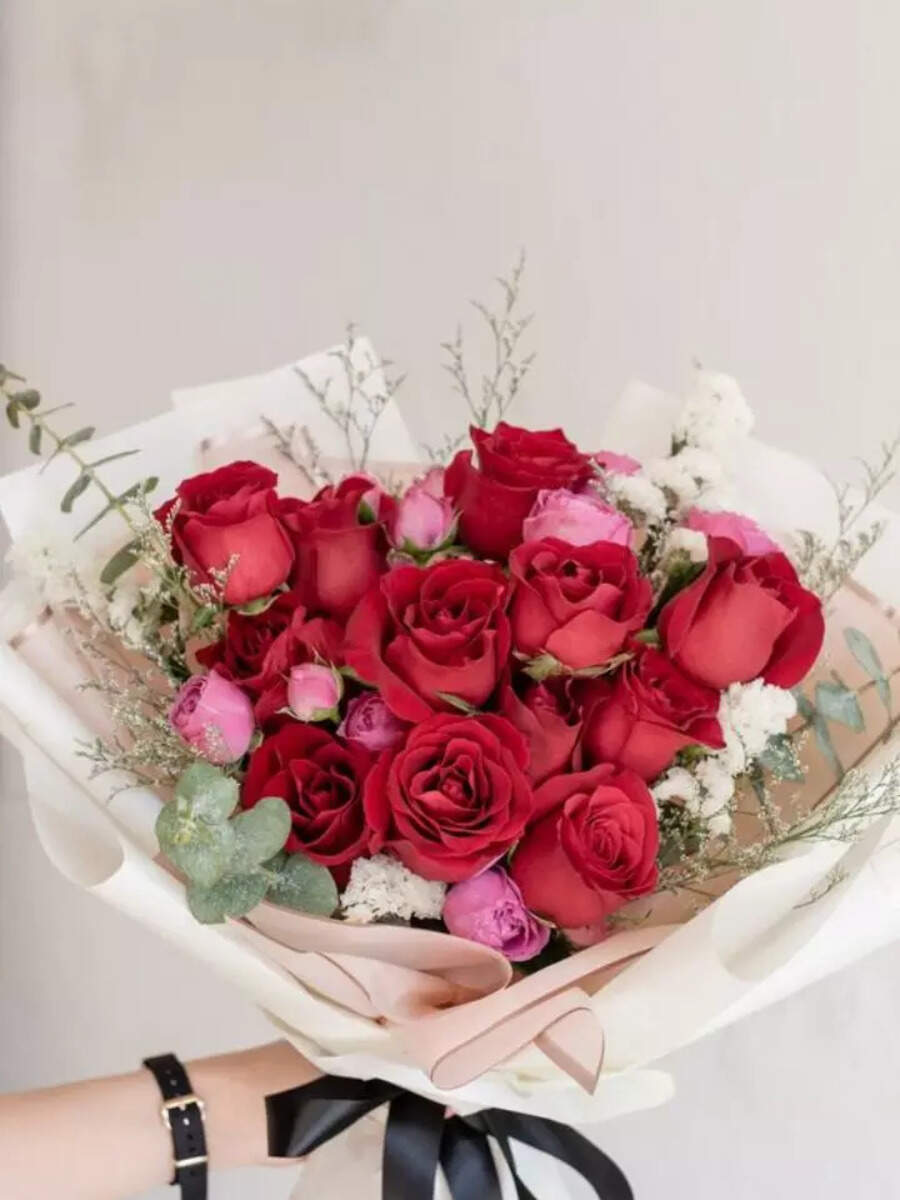 Rose Day 2025: 10 different types of Roses and their significance