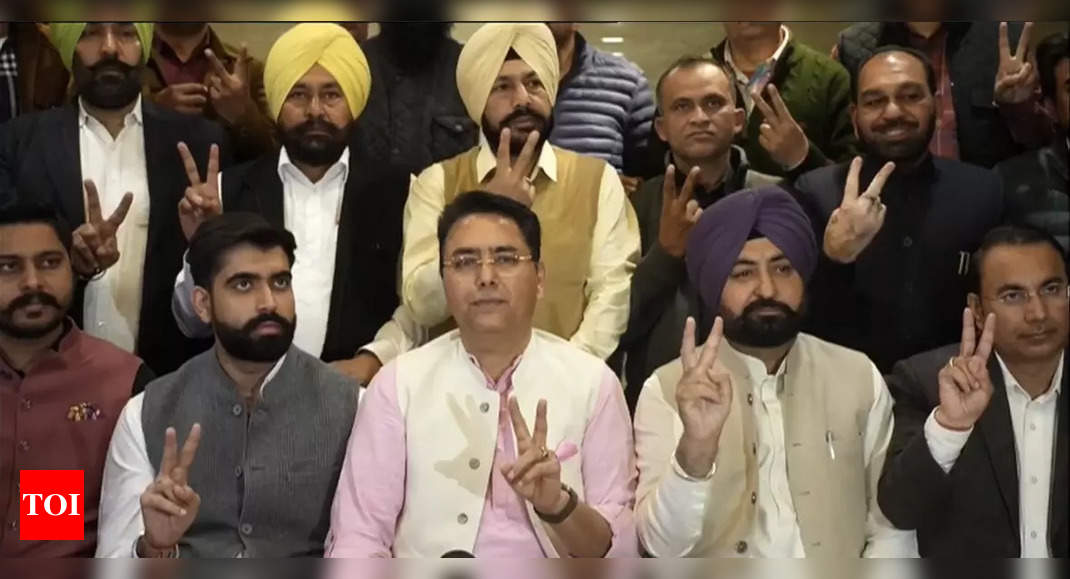 AAP grabs Bathinda MC, PCA President’ son Padamjit Mehta grabs post of Mayor