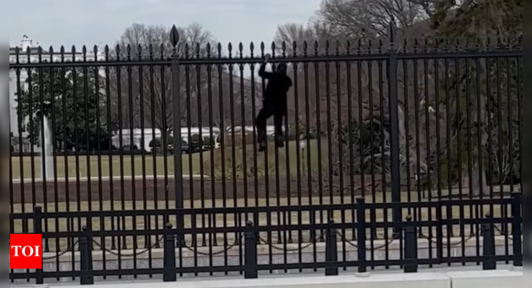 ‘F–k it’: Tourist films dramatic attempt to climb White House fence