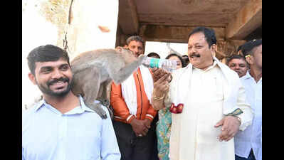 Ratha Sapthami celebrated with grandeur at Melukote