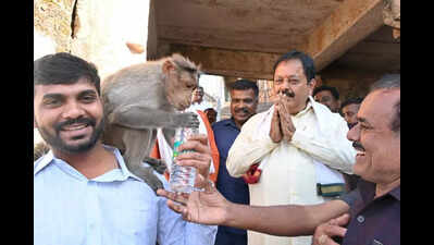 Ratha Sapthami celebrated with grandeur at Melukote