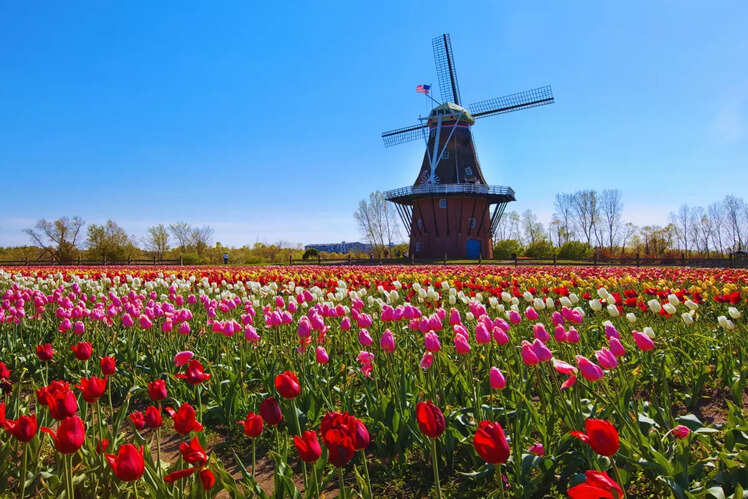 Holland, Michigan