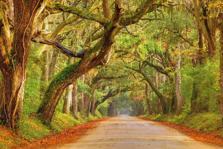 Charleston, South Carolina