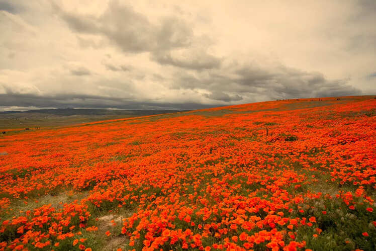Antelope Valley, California