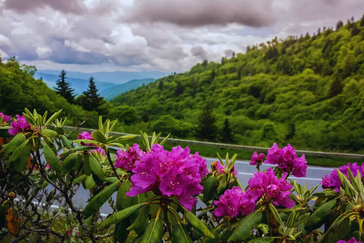 Great Smoky Mountains, Tennessee and North Carolina