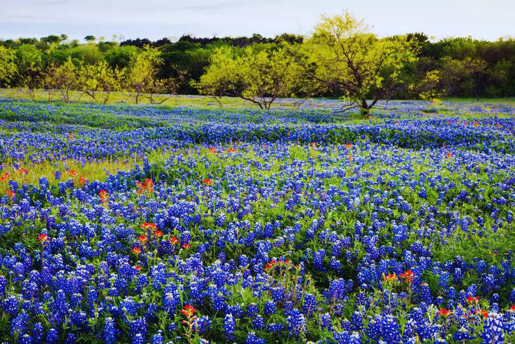Texas Hill Country