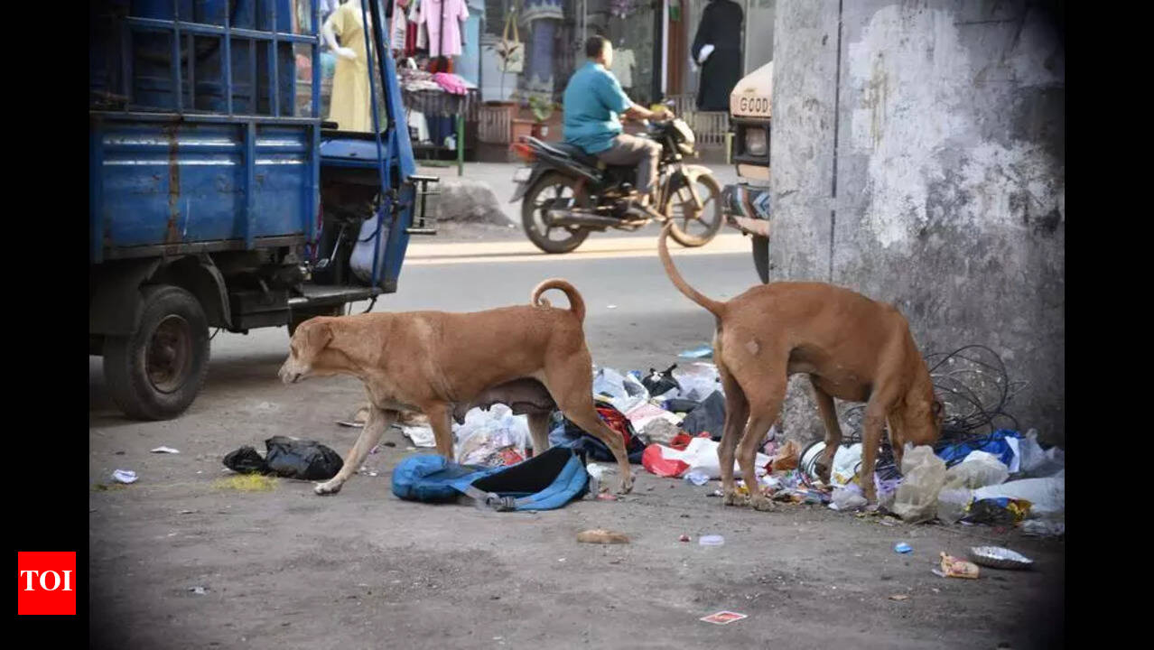 Velosiped seks porno