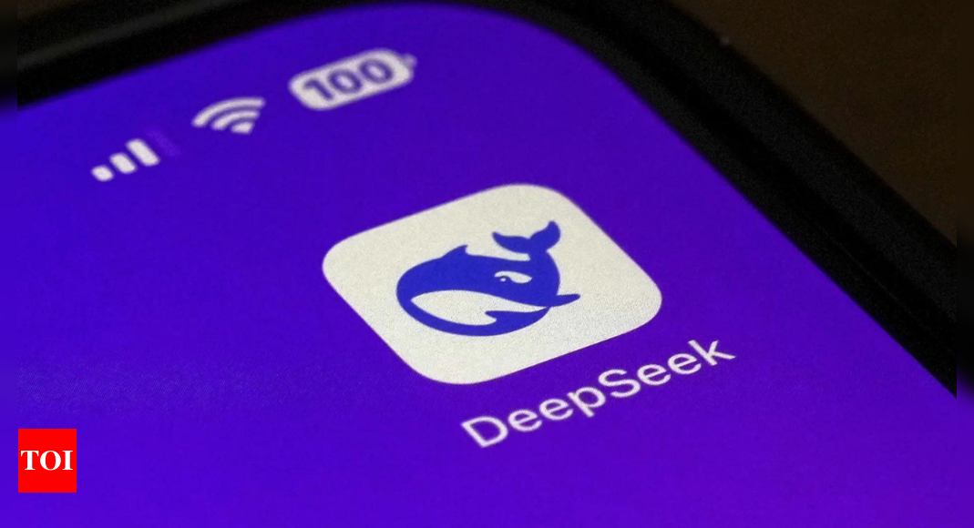 Which countries have banned Chinese AI DeepSeek?