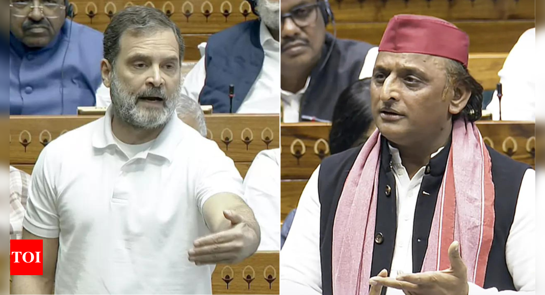 'RSS wants to erase history': Rahul Gandhi, Akhilesh Yadav on UGC draft rules