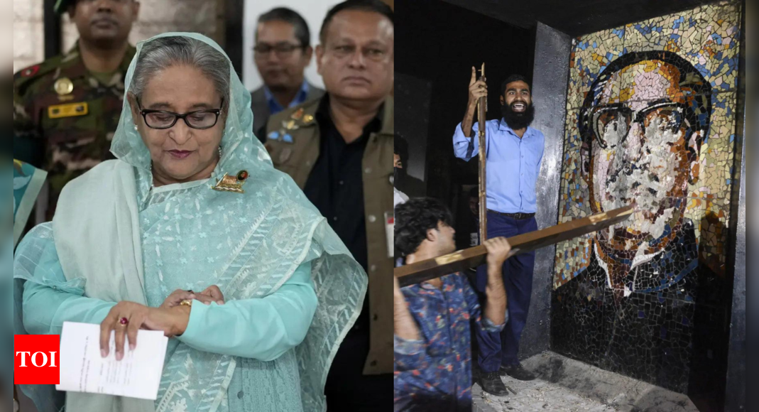 'History takes its revenge': Sheikh Hasina after mob vandalises father's house