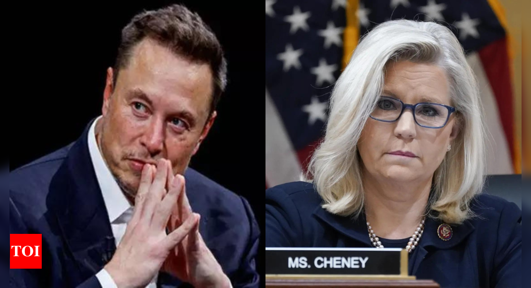 ‘Spawned out of USAID’: Liz Cheney and Elon Musk trade jabs over her ties with agency – The Times of India